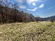 Stavebn� pozemek na Horn� Jasence - Vset�n