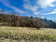 Stavebn� pozemek na Horn� Jasence - Vset�n