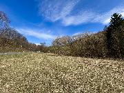 Stavebn� pozemek na Horn� Jasence - Vset�n