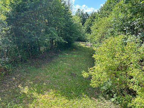 Obrázek není k dispozici.