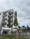 byt 2+kk, 62m2, v novostavb Bl Perla, Opava