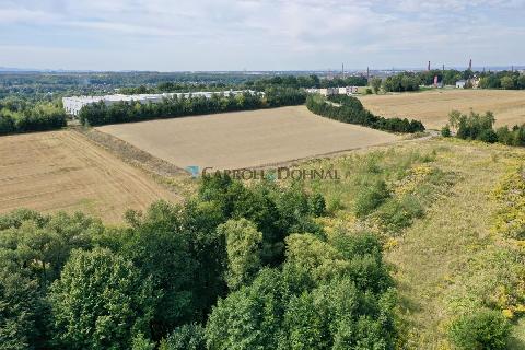 Obr�zek nen� k dispozici.