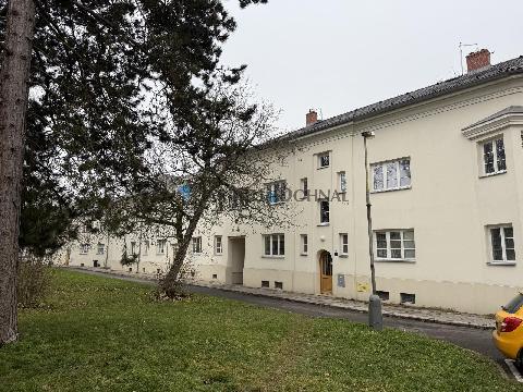 Obr�zek nen� k dispozici.