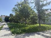Prodej bytu 2+1, 81m2, Jubilejn� kolonie, Ostrava