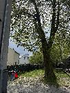 Prodej bytu 4+kk 120m2, Na Burni, Slezsk� Ostrava