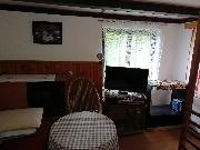 Prodej chaty 16m2 na pozemku 301m2 Janovice
