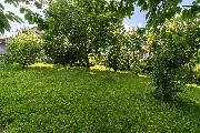 Prodej rodinn�ho domu  se zahradou, Vratimov - Horn� Datyn�