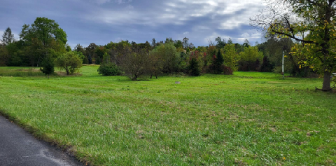 Obr�zek nen� k dispozici.