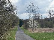 Prodej souboru pozemk� k bydlen�, Radvanice, Pod Kapl�, 5,6 ha