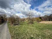 Prodej souboru pozemk� k bydlen�, Radvanice, Pod Kapl�, 5,6 ha