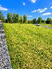 Prodej stavebn�ho pozemku 737 m2, Ostrava- Nad Vod�rnou
