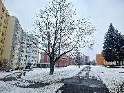 Pron�jem bytu 1+1, 38 m  Ostrava-Poruba, ul. Pavlouskova