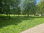 foto_145409328.jpg