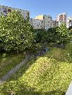 pronjem bytu 2+1 s balkonem , 55m2, Ostrava Hrabvka