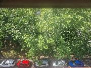 Pron�jem bytu 2kk, Partyz�nsk� n�m., Ostrava