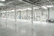 Pron�jem skladovac�ch a v�robn�ch prostor P3 Ostrava central, Hala M2, 1315 m2