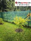 Zahrada, pozemek 750 m2 s chatou, OV, Jihlava