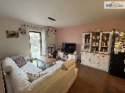 2+kk v Plzni u Borsk�ho parku