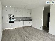 Pron�jem 2+kk v Plzni na Slovanech