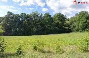 Prodej lesnch pozemk 3070 m2