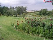 Prodej pozemku 681 m2 - Mlad Boleslav - Bezdn