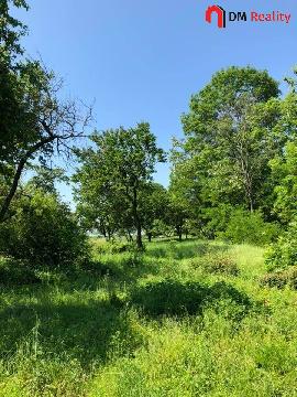 Obr�zek nen� k dispozici.