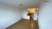 Pronjem bytu 2+kk, 43 m?, ul. Na Okruhu , Praha 4 - Libu
