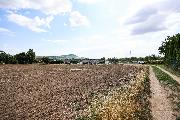 Prodej pozemku, Lhotka nad Labem