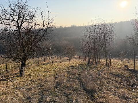 Obr�zek nen� k dispozici.