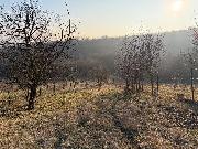 Prodej pozemku, U Medul�nky, Litom��ice