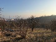 Prodej pozemku, U Medul�nky, Litom��ice