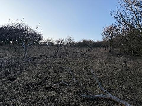 Obr�zek nen� k dispozici.