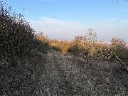 Prodej pozemku, Veve�� pod Radob�lem, Litom��ice