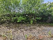 Prodej skladov�ch prostor, �pindlerova t��da, Roudnice nad Labem