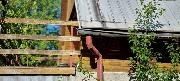 Prodej chaty 44m2, s pozemek o v�m��e 333m2, v obci Fr�dlant nad Ostravic� - Pstru��