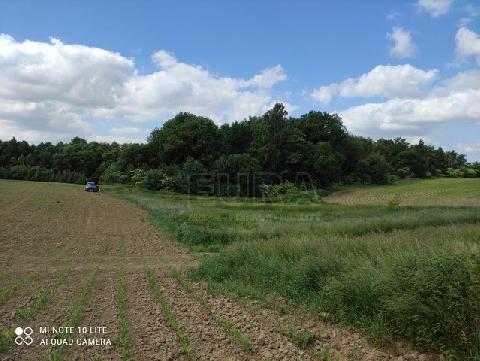 Obr�zek nen� k dispozici.