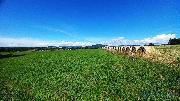 Investi�n� pozemek 17.068 m2,  Police nad Metuj� - Rade�ov