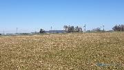 Louka 17.068 m2,  Police nad Metuj - Radeov