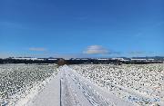 Louka 8.000 m2, Police nad Metuj - Radeov