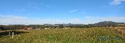 Louka 8.000 m2, Police nad Metuj - Radeov