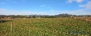 Louka 8.000 m2, Police nad Metuj - Radeov