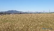 Louka 8.535 m2, Police nad Metuj - Radeov