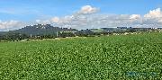Pozemek 2.213 m2, Police nad Metuj� - Rade�ov
