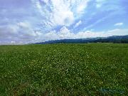 Stavebn pozemek 1196 m2, Nov Hrdek
