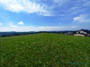 Stavebn pozemek 1196 m2, Nov Hrdek