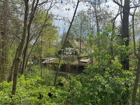 Obr�zek nen� k dispozici.