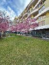 Prodej prostorn�ho bytu 2+KK, 57m2, OV, ul. Ocel��sk�, Praha 9 - Libe�.