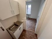 Pronjem bytu 1+0, 15m, elkovice ul. Matje ervenky