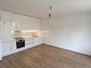 Pron�jem bytu 2kk 51m2, s p�ezahr�dkou 47m2