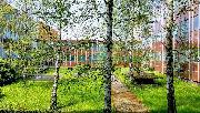 foto_137419742.jpg